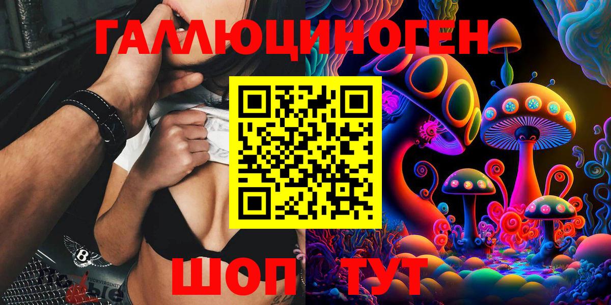 Псилоцибиновые грибы Psilocybe Ялуторовск